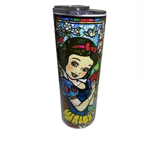 Amazing Stained glass princess 20oz Tumbler